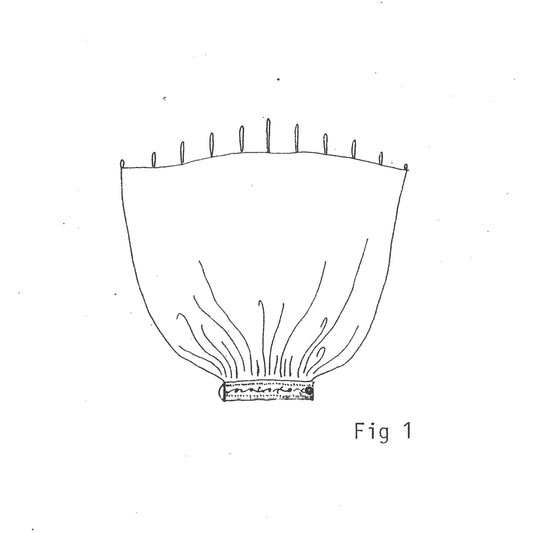 Sewing description Kinda Top with sleeve extension