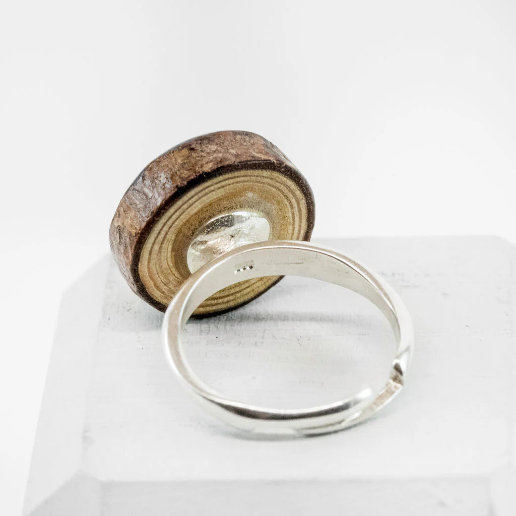 Kvist ring